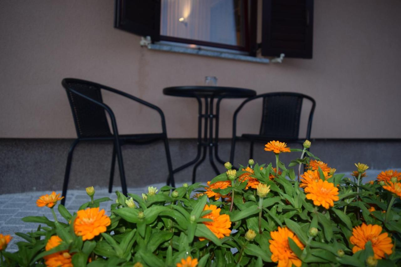 Apartman Nino Novigrad  Luaran gambar